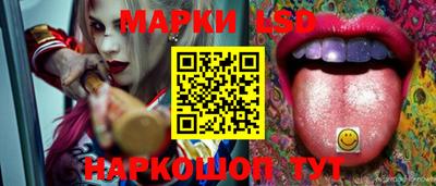 гидропоника Тверь