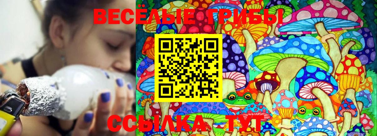 Мценск  Псилоцибиновые грибы Cubensis  Вход с VPN  Галлюциногенные грибы ЛСД 